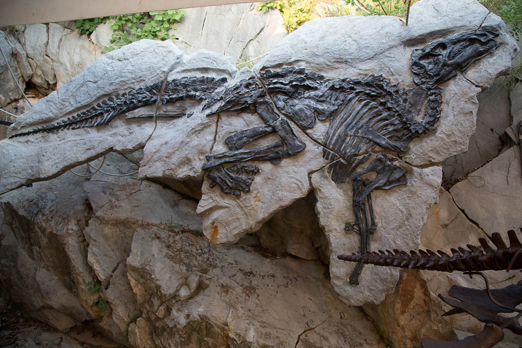 Parco paleontologico del Villaggio del Pescatore