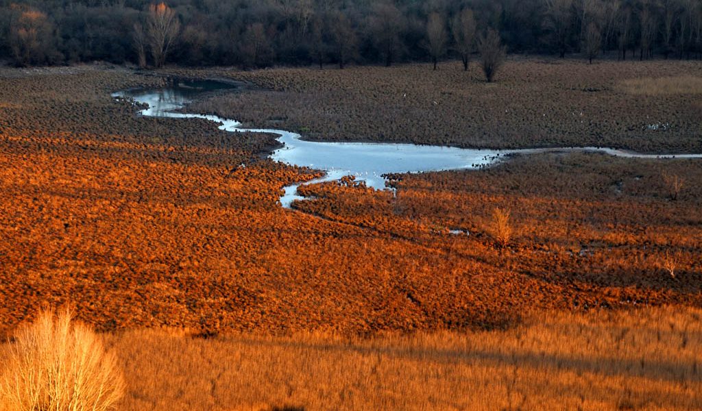 Laghi di Doberdò e Pietrarossa