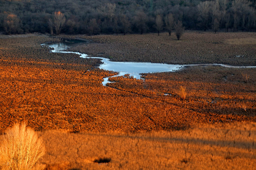 Laghi di Doberdò e Pietrarossa